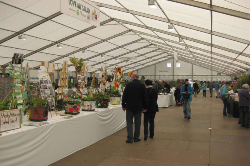 Neptunus blossoms at Harrogate Spring Flower Show