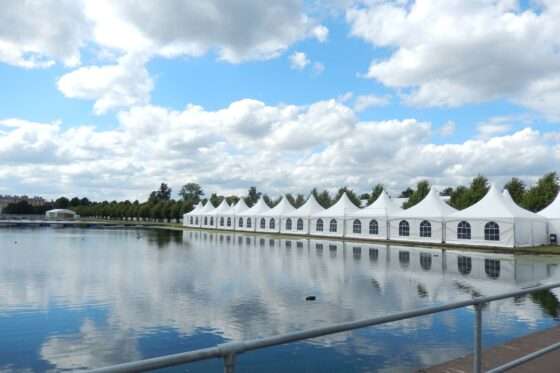 Neptunus blossoms at Harrogate Spring Flower Show