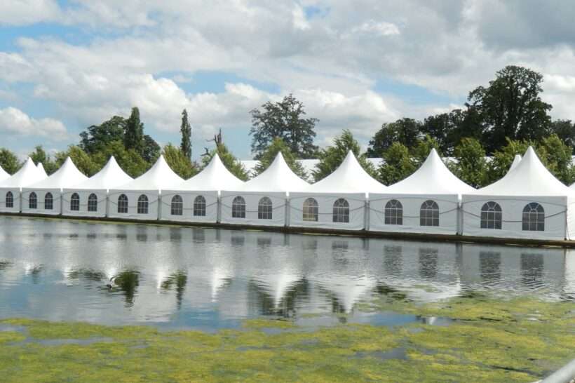 Neptunus blossoms at Harrogate Spring Flower Show