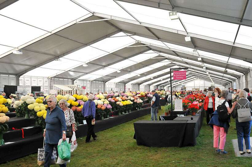 Neptunus-Event-Structure-Harrogate-Flower-Show