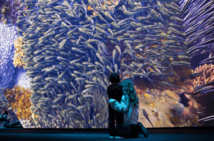 BBC Earth Experience