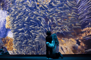 Screenshot-2026-01-28