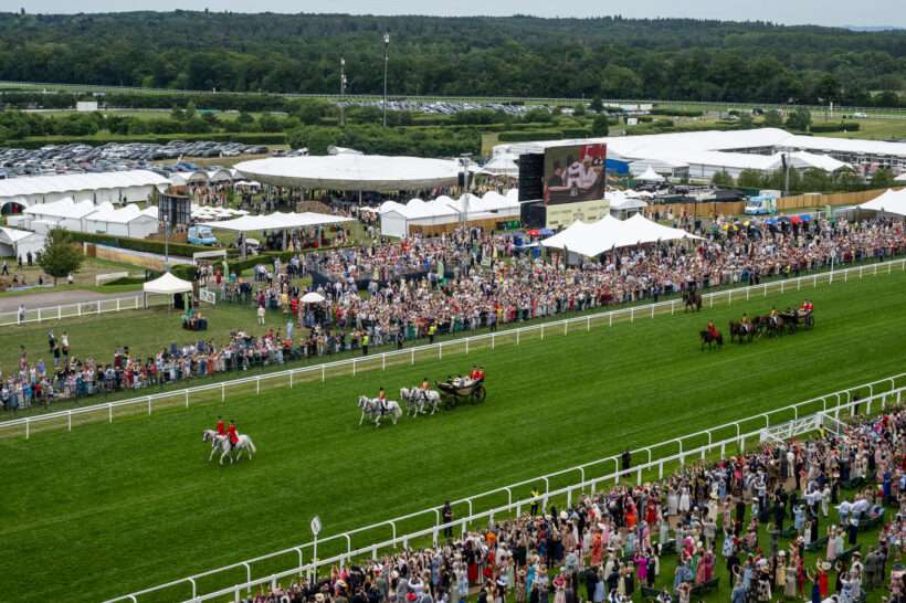 salacia-royalascot-ascot